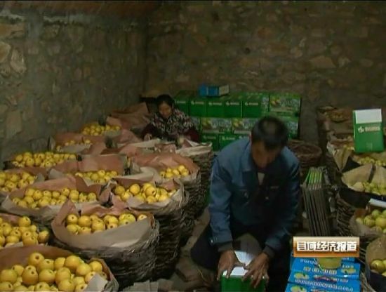 辽宁绥中：秋白梨年产值突破七亿元。央视视频截图。